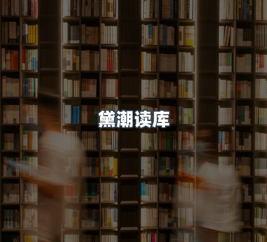 关于黛潮读库